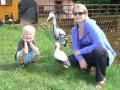 gal/2010/10 Dvur Kralove/_thb_P1070558.JPG
